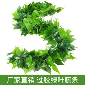 Qingxu Simulated Pothos And Grape Leaves Decorative Vines 100cm-200cm <b>Plastic</b> Silk Flowers For Wedding Home Decoration - Product Image 2