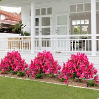 Arbre artificiel de bougainvillier quatre saisons pour extérieur, fleurs en soie sur pied pour jardin, patio, cour, aménagement paysager et décoration intérieure