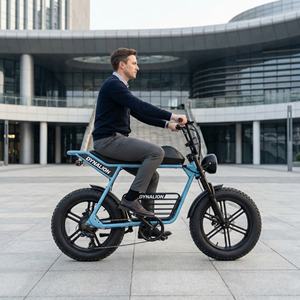 Urban Premium Vintage Fatbike E-Bike mit LCD-Display, City-Elektrofahrrad für Messezentren und Anfahrtsplassen - Product Image 2