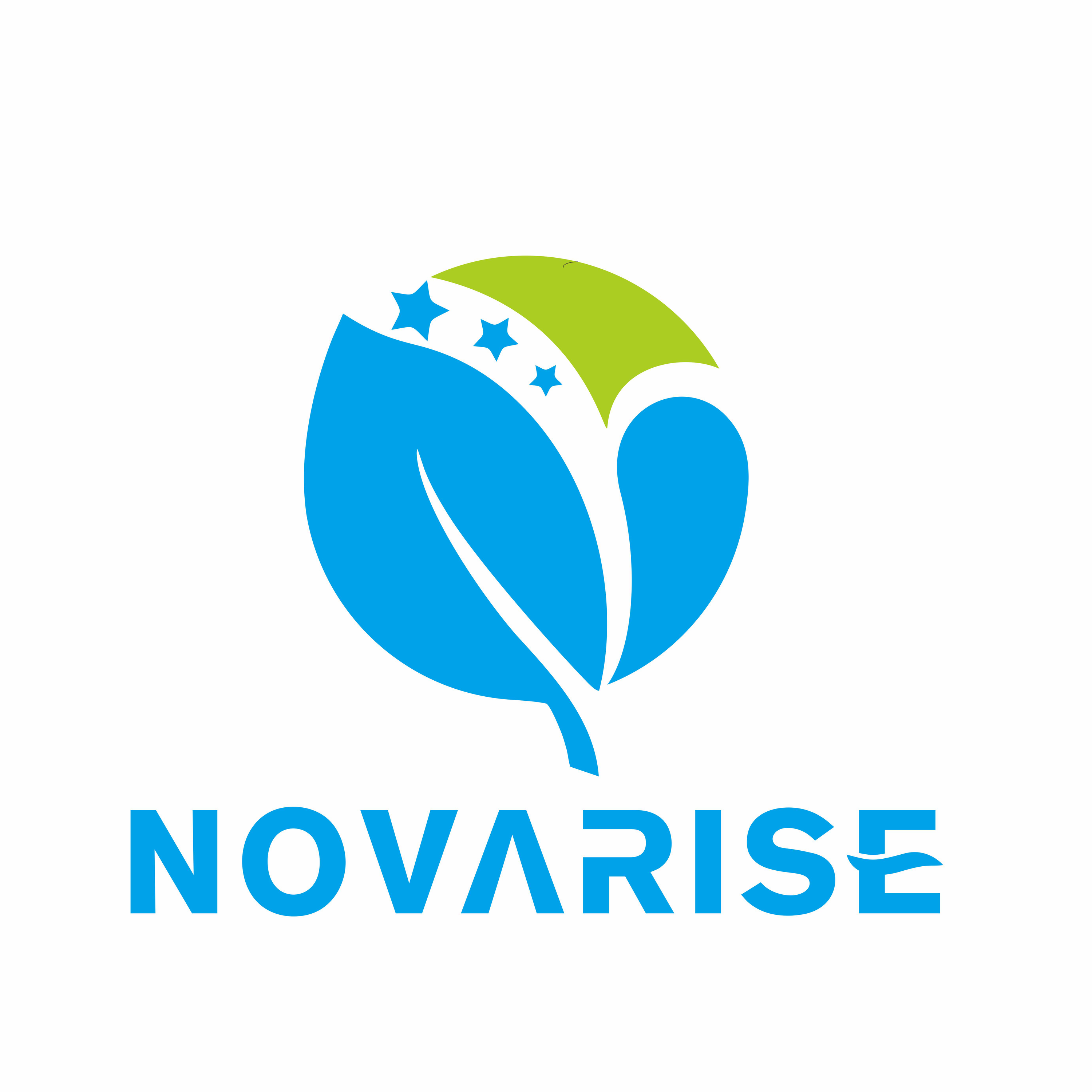 Novarise (Tianjin) Hi-Tech Development Co., Ltd. logo