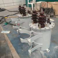 Transformateur Électrique Élévateur de Tension Monophasé/Triphasé Immergé dans l'Huile 10 Kva Prix