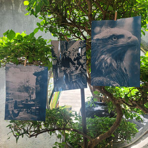 Kit de cyanotypie couleur A4, 15 papiers, 5 films vierges, conception personnalisée, ensemble d'art DIY avec tutoriel en anglais pour la décoration intérieure - Product Image 3