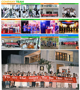 Empresa de servicios de logística internacional China Plantas estadounidenses Logística internacional Transitario China a Canadá EE. UU. Reino Unido - Product Image 6