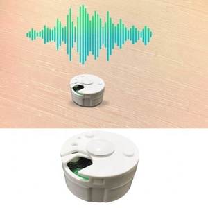 Módulo de Caja de Sonido Redonda Personalizada, Juguetes Educativos, Grabador de Voz con Botón para Peluches, Libros de Sonido, Aprendizaje Temprano para Niños - Product Image 6