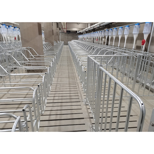 Popular Quality New HENGYIN HY-AFS Pig Farming Gestation Crate Back Door Design Hot Dip Galvanized Material Long <b>Service</b> Life - Product Image 3