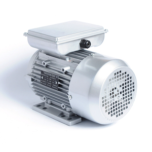 Motor Asíncrono de CA Monofásico de 2 Polos, Serie YL, OEM/ODM, 220V, 2.2KW, 2800 RPM, 50HZ, Carcasa de Aluminio - Product Image 3