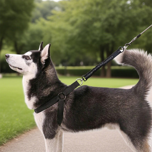 Ammortizzatore <span class=keywords><strong>Bungee</strong></span> guinzaglio attacco cane resistente in Nylon legatura fuori Extender guinzaglio cane - Product Image 4