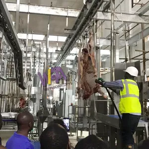 Turnkey Project Complete Cattle Slaughter House 10 Cattle Hour Halal Meat Processing Beef Slaughter Processing Line