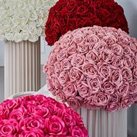 Décoration de Cérémonie : Boules de Fleurs Élégantes en Soie de Pivoine et d'Hortensia de Luxe, de Haute Qualité, pour Allée de Cérémonie et Événements, 30-80cm