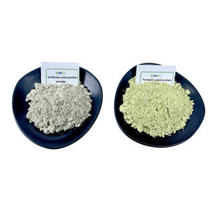Extrait naturel de Sophora japonica Rutine 95% NF11 Poudre CAS 153-18-4 Poudre de Rutine pure de qualité alimentaire pour complément alimentaire - Product Image 3