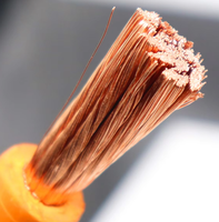 Hochflexibles 10 25 35 50 70mm 95mm² Reinkupfer-Schweißkabel Isoliertes Doppelgummi-Kabel zum Schweißen Fabrikpreis