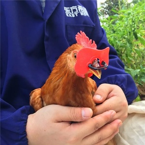 <span class=keywords><strong>Gafas</strong></span> Protectoras para Gallinas, Anti-picoteo, Cubierta Suave para los Ojos, Evita Peleas de Gallos - Product Image 6