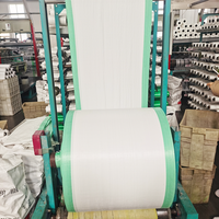 Rouleaux de tissu en plastique PP blanc de matière première de polypropylène de fournisseurs de fabricant de Chine faisant des sacs d'emballage