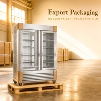 Congélateur vertical à six portes en acier inoxydable avec commande numérique, compresseur, roulettes et plateaux, idéal pour la restauration et le service alimentaire