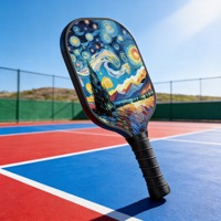 Juego de Palas de Pickleball Portátiles Personalizadas Aprobadas por la USAPA, Cara de Fibra de Vidrio de 11 mm, Núcleo de Panal, 2 Palas, 4 Pelotas, Bolsa de Transporte, Entrenamiento