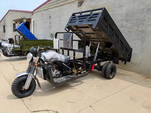 & 300cc Open Passenger 5-Wheel <b>Gasoline</b> for Versatile Transport - Product Image 2