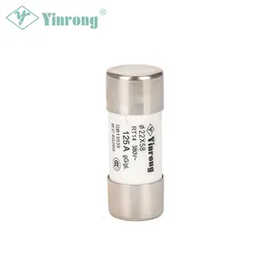 Fuses Supplier Cylindrical Shape Fuse Body 125A 380/500V Fuse