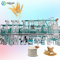 Machine de traitement de la farine de maïs à petite échelle 5-10TPD pour usage agricole, ligne de production de mouture de céréales