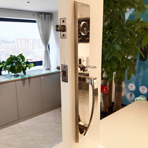 לוח ארוך 480 מ "מ מרופפת ידית דלת כניסה כבדה - Product Image 4