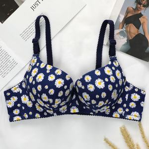 <span class=keywords><strong>Sujetador</strong></span> <span class=keywords><strong>push</strong></span>-<span class=keywords><strong>up</strong></span> para mujer, ropa interior con aros y estampado en caliente, nuevo diseño de fábrica personalizado de buena calidad - Product Image 5