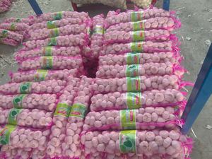 Alta calidad 4,5-6,0 y más tamaño fresco normal y puro ajo blanco China cocina orgánica ajo directo para la venta - Product Image 6