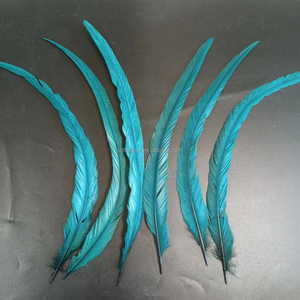 Plumes de coq teintées turquoise de 10-45 cm en gros – Plumes longues pour costumes de carnaval, fêtes et spectacles - Product Image 2