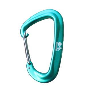 2019 Venta caliente de todos de forma personalizada a granel barato de aluminio <span class=keywords><strong>escalada</strong></span> mosquetón - Product Image 1