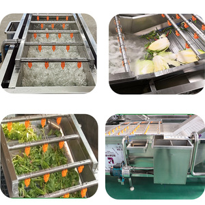 Ligne de <span class=keywords><strong>production</strong></span> et de lavage de légumes complète, machine à laver les légumes-feuilles, machine à laver et à couper les légumes - Product Image 2