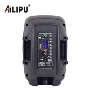 Altavoz Portátil Profesional Inalámbrico de 8 Pulgadas con Subwoofer y Control Remoto, con Micrófonos en Venta - Product Image 6