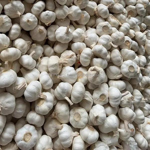 Aglio bianco fresco organico organico 4.5cm 6.0cm bianco normale e puro 10kg all'ingrosso cartone di puro aglio fresco - Product Image 5