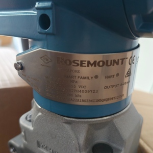 Serie Original Rosmount 3051CG de Singapur, 3051CD + 1199W Doble Brida - Product Image 3