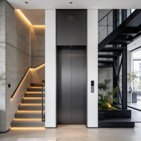 Ascenseur domestique moderne sans puits et à faible hauteur de plafond, avec entraînement AC sans engrenages, idéal pour les villas et maisons privées