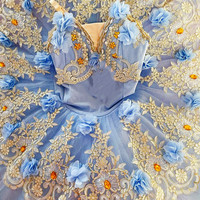 Costumes de Performance de danse de cygne pour filles