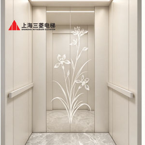 Ascenseur hydraulique compact Mitsubishi Golden pour villas – Prix en Chine - Product Image 5