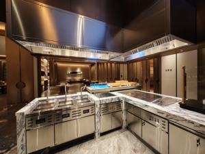 מסעדת מכסה מכסה המנוע אוטומטית estrohood ניקוי אוטומטי esp - Product Image 5