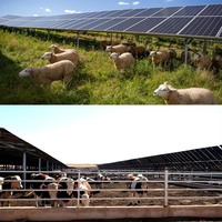 El Sistema de Generación de Energía Fotovoltaica en el Techo de la Nave Agrícola Puede Ser Conectado a la Red o Independiente de la Red