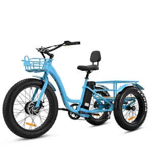 HEZZO Frete Grátis G003 Trike Elétrico 48V 750W Hub Motor 21Ah Longrange Lítio Três Rodas Ebike 45 Km/h Triciclo de Entrega