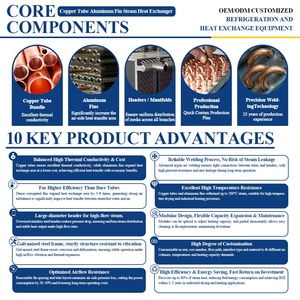 Intercambiador de Calor de Vapor de Alta Presión con Núcleo de Cobre de Alto Rendimiento y Serpentín Aletado <span class=keywords><strong>para</strong></span> Horno de Secado Industrial de Procesamiento de Alimentos - Product Image 3