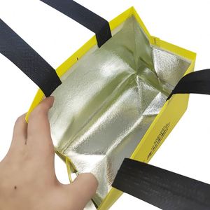 Bolsas Térmicas Desechables de Papel de Aluminio No Tejido para Llevar Comida, Bebidas y Entrega de Comida Rápida - Product Image 6