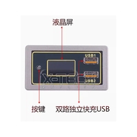 Pantalla de Voltaje y Nivel de Carga de Batería de Coche de 12V y 24V, Compatible con Carga Rápida Multiprotocolo USB para Baterías de Litio