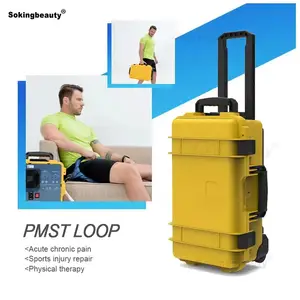 High Powered PEMF Therapy Machine PMST Loop Pulsed Magnetic Therapy Device Improve Your Body's Range Of Motion Increase Stamina