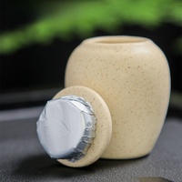 Urne funéraire pour animaux de compagnie en céramique imperméable à l'eau, imprimé léopard, personnalisable, pour petits animaux, design moderne et luxueux