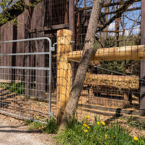 Clôture en treillis galvanisé <span class=keywords><strong>à</strong></span> chaud pour bétail, sécurité des ranchs, clôture de ferme pour bovins et moutons, clôture de champ, clôture de pâturage pour chevaux, treillis tissé - Product Image 4