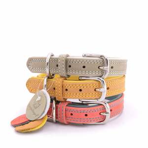 Ensemble collier et laisse pour chien en cuir de première qualité, haut de gamme, réglable, durable, collier Puppr en cuir véritable, colliers rembourrés pour animaux de compagnie - Product Image 1