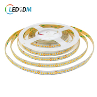 12V 24V 2835 SMD 240Leds Bande Lumières 10mm Flexible LED Bandes Lumineuses IP65 IP67 3000K 4000K 6500K 2835 Led Bande