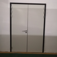 Portes de salle blanche pour hôpitaux et laboratoires, à cadre en acier galvanisé de 1,2 mm, à ouverture battante, avec isolation et purification, et revêtement antibactérien