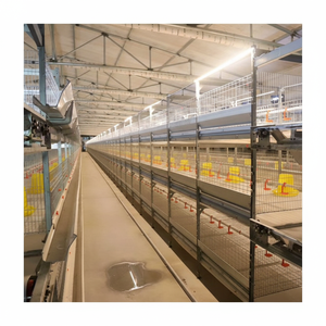 Cages à griller haute efficacité multicouches à faible encombrement pour petites coopératives de poulets de chair - Product Image 1