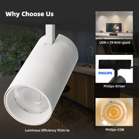Foco LED de riel TL402 de 30W Ra90 UGR<19 LIFUD 220-240V, 4 hilos, 3 circuitos, para iluminación comercial