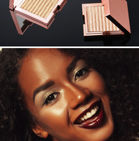 Palette de maquillage illuminateur visage vegan à paillettes scintillantes de haute qualité, marque privée, personnalisable