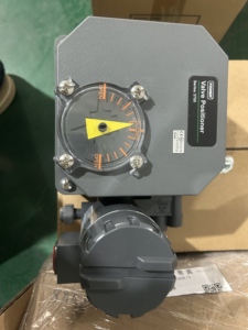 Fournisseur de contrôle pneumatique série industrielle 3610j 3620j 3620jp 3620jpr 3720 3610j/ 3620j/ 3620jp/ 3620jpr/ 36 - Product Image 3